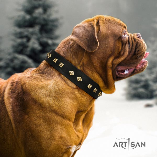 Dogue de Bordeaux fashionable leather collar for comfy wearing