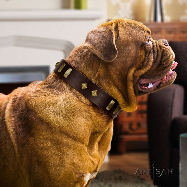 Dogue de Bordeaux decorated genuine leather dog collar for your stylish doggie