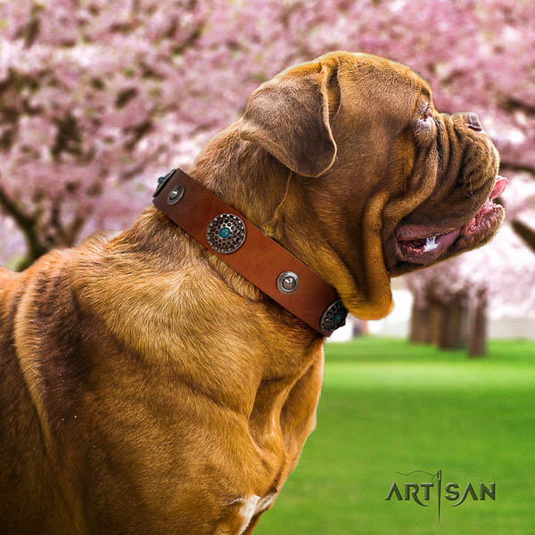 Dogue de Bordeaux studded full grain leather dog collar for your stylish canine