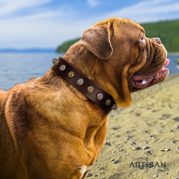 Dogue de Bordeaux decorated full grain genuine leather dog collar for your impressive canine