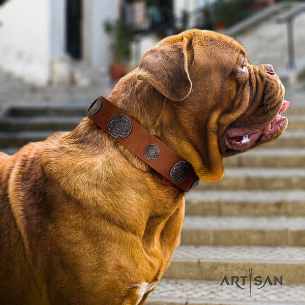 Dogue de Bordeaux adorned natural genuine leather dog collar for your lovely pet