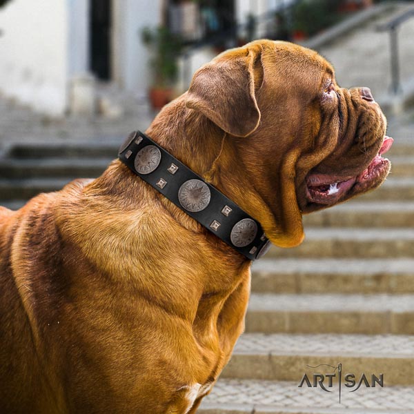 Dogue de Bordeaux adorned genuine leather dog collar for your impressive canine