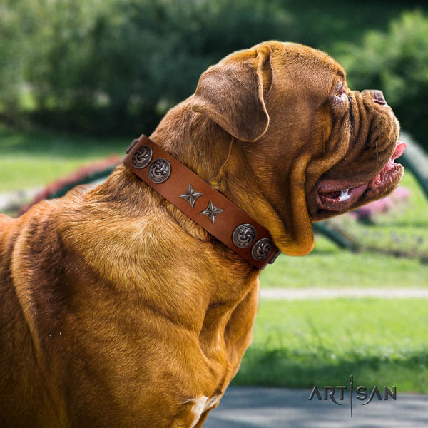 Dogue de Bordeaux decorated genuine leather dog collar for your impressive canine