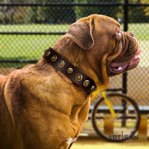 Dogue de Bordeaux studded full grain natural leather dog collar for your lovely canine