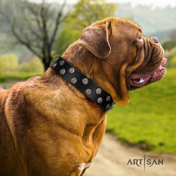 Dogue de Bordeaux decorated natural genuine leather dog collar for your lovely doggie