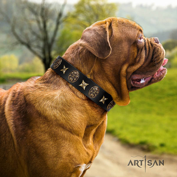 Dogue de Bordeaux studded full grain genuine leather dog collar for your lovely pet