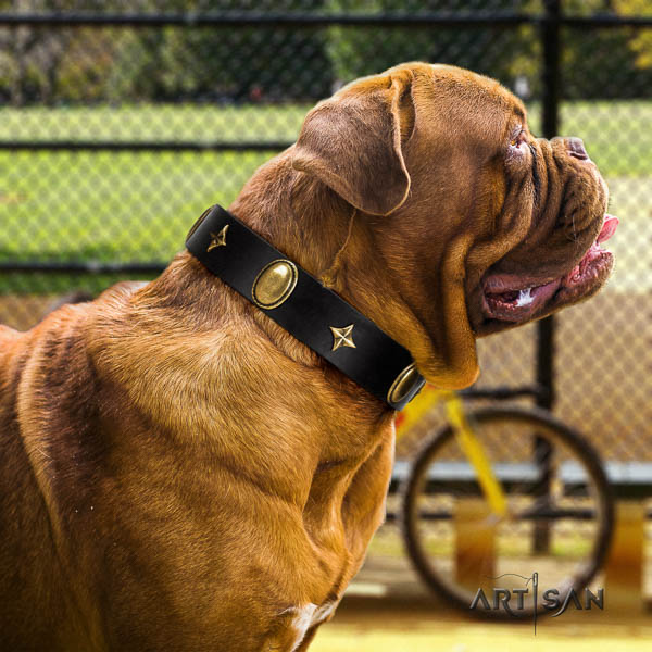 Dogue de Bordeaux adorned full grain genuine leather dog collar for your beautiful pet