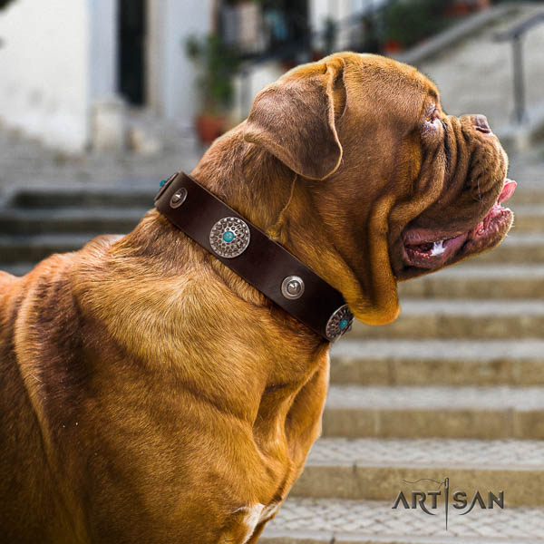 Dogue de Bordeaux adorned leather dog collar for your attractive dog