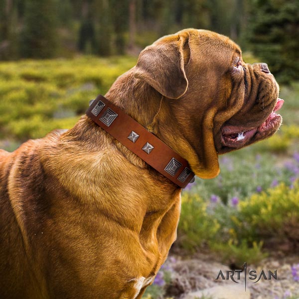 Dogue de Bordeaux studded full grain leather dog collar for your stylish doggie