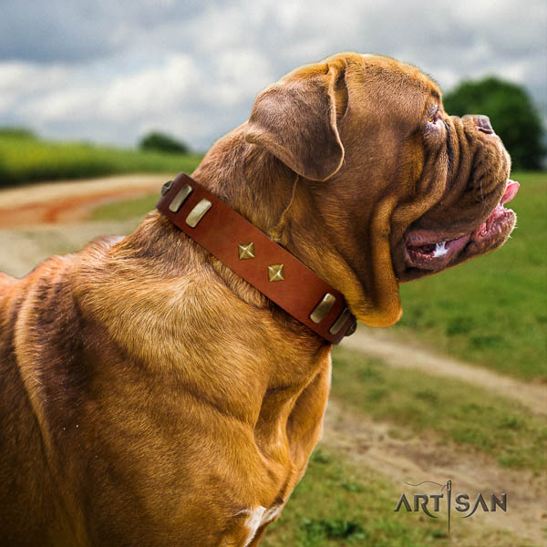 Dogue de Bordeaux decorated natural genuine leather dog collar for your handsome pet