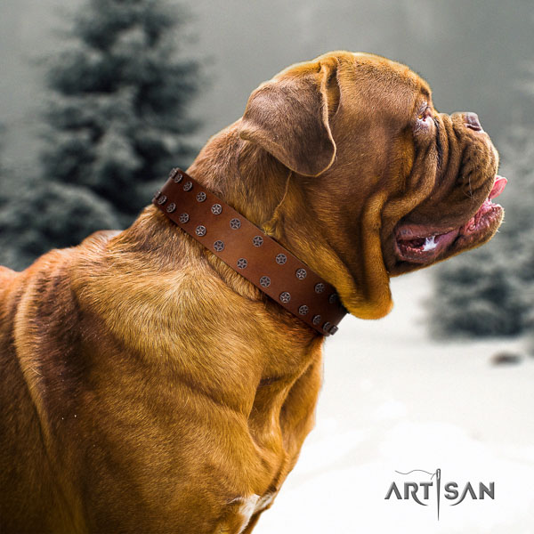 Dogue de Bordeaux studded full grain genuine leather dog collar for your handsome four-legged friend