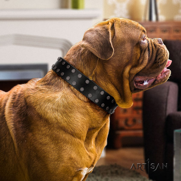 Dogue de Bordeaux decorated full grain natural leather dog collar for your handsome doggie