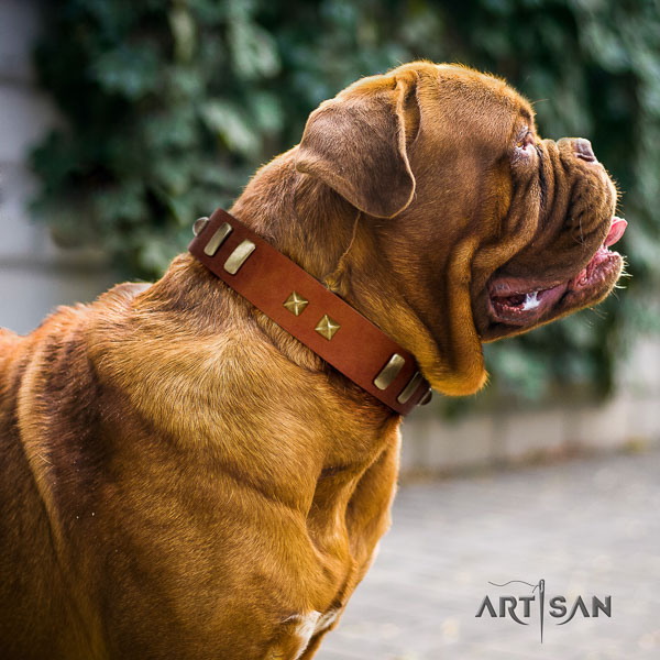 Dogue de Bordeaux adorned full grain natural leather dog collar for your lovely doggie