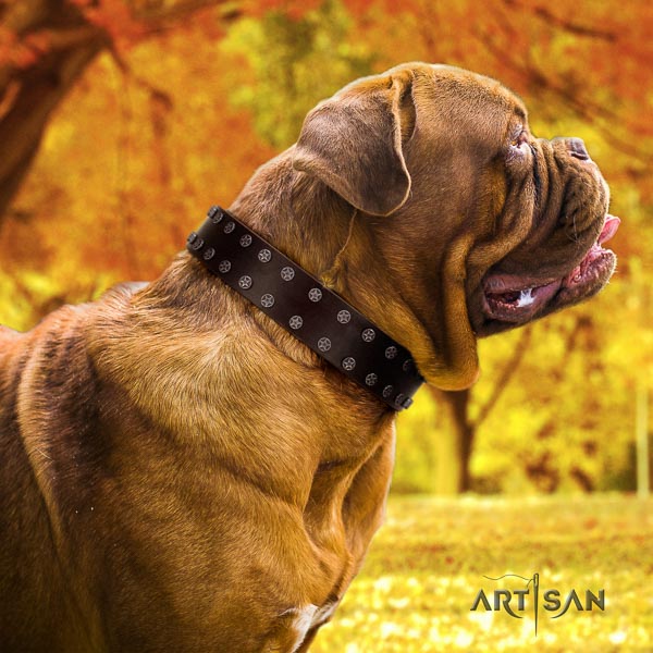 Dogue de Bordeaux decorated genuine leather dog collar for your lovely four-legged friend