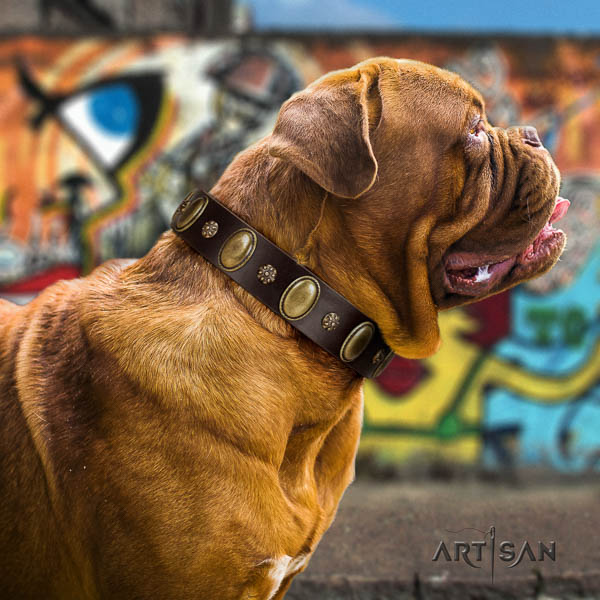 Dogue de Bordeaux studded natural genuine leather dog collar for your lovely doggie