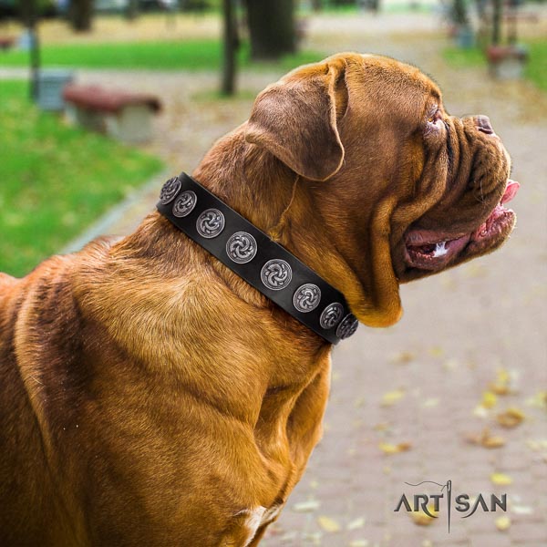 Dogue de Bordeaux leather dog collar with embellishments for your lovely doggie