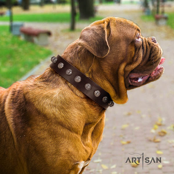 Dogue de Bordeaux studded genuine leather dog collar for your handsome canine