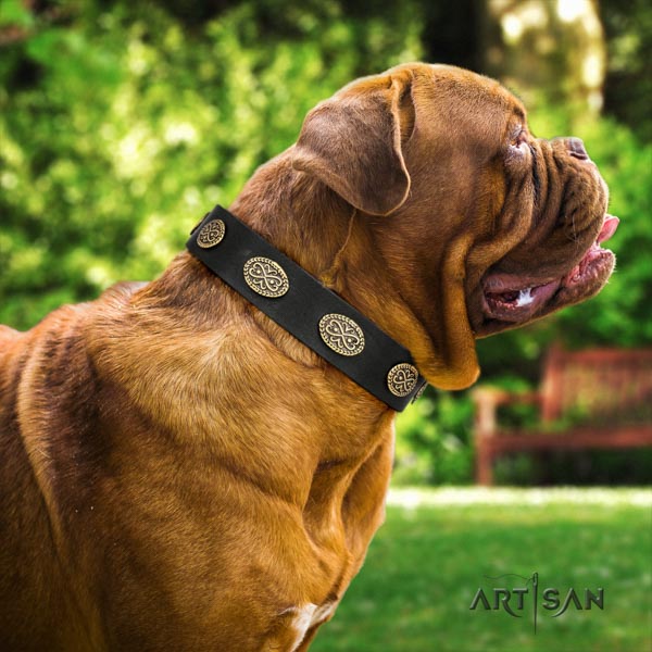 Dogue de Bordeaux designer natural genuine leather collar for stylish walking