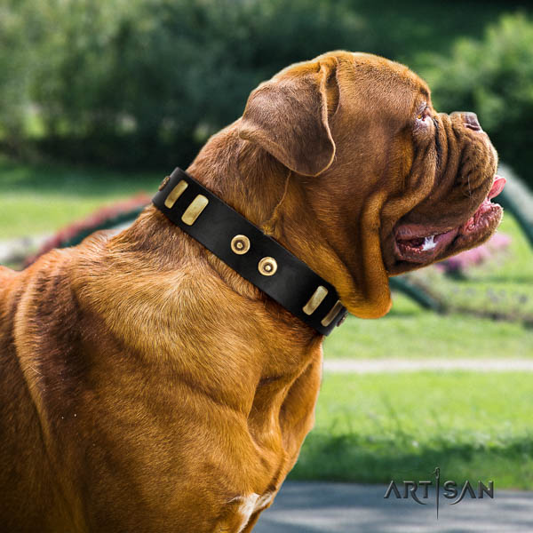 Dogue de Bordeaux decorated genuine leather dog collar for your impressive pet