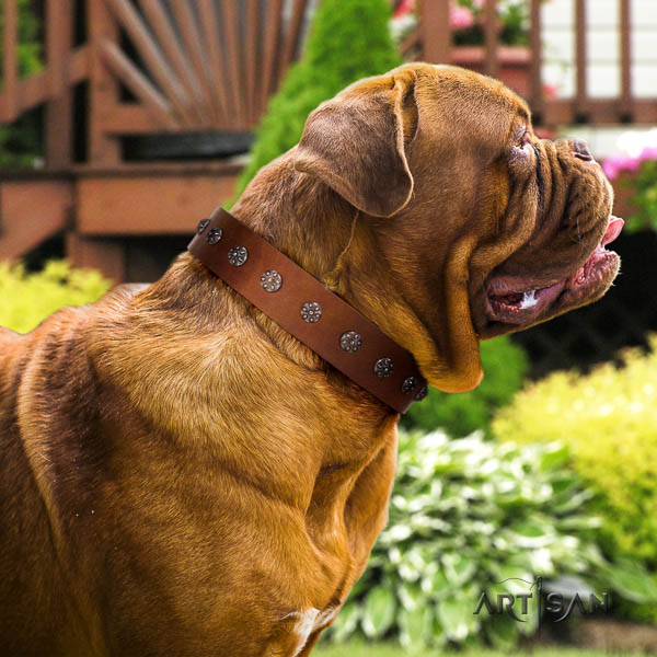 Dogue de Bordeaux studded genuine leather dog collar for your attractive pet