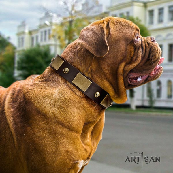 Dogue de Bordeaux adorned genuine leather dog collar for your beautiful dog