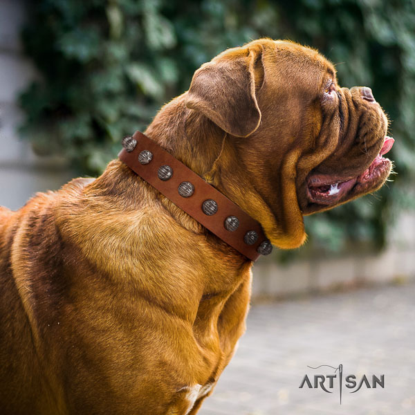 Dogue de Bordeaux decorated natural genuine leather dog collar for your stylish doggie