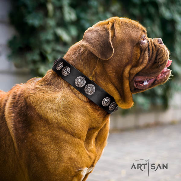 Dogue de Bordeaux embellished genuine leather dog collar for your attractive four-legged friend