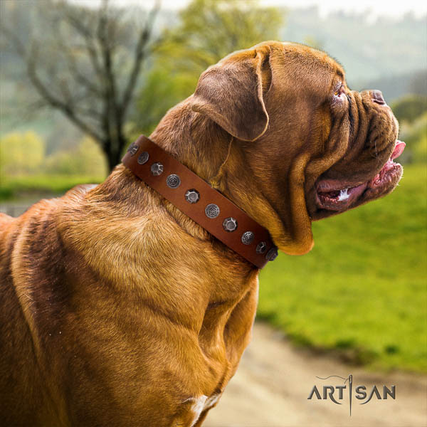 Dogue de Bordeaux embellished full grain genuine leather dog collar for your impressive dog