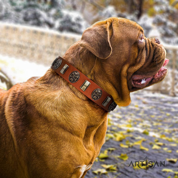 Dogue de Bordeaux decorated full grain genuine leather dog collar for your beautiful four-legged friend