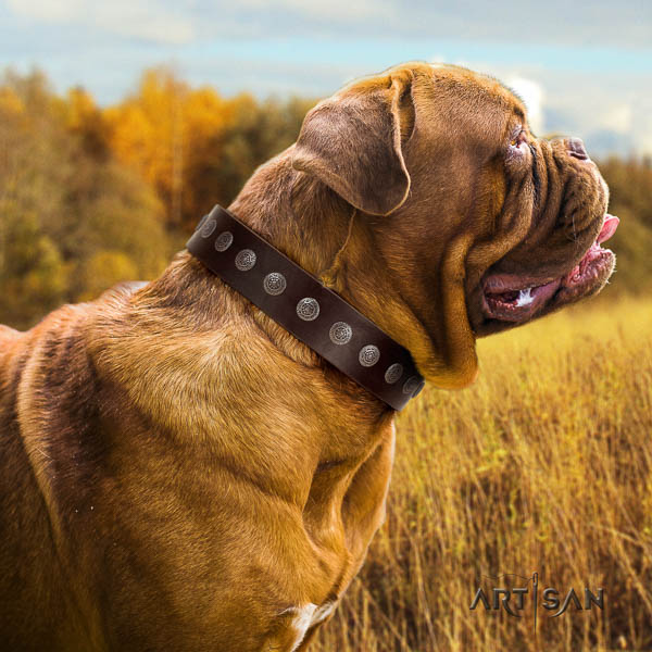 Dogue de Bordeaux embellished natural genuine leather dog collar for your lovely four-legged friend