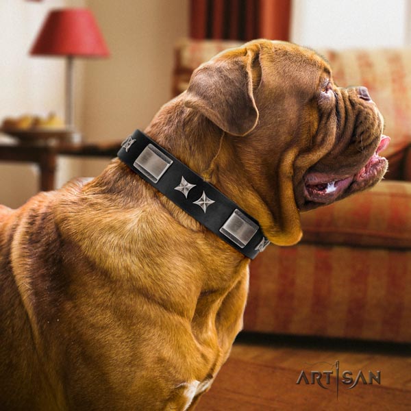 Dogue de Bordeaux top notch full grain genuine leather collar for stylish walking