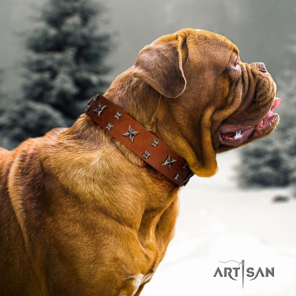 Dogue de Bordeaux adorned genuine leather dog collar for your beautiful canine