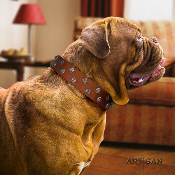 Dogue de Bordeaux embellished natural genuine leather dog collar for your attractive dog