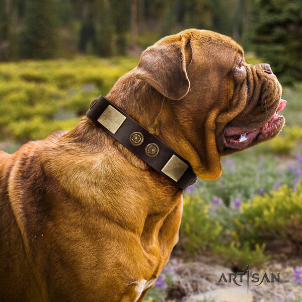 Dogue de Bordeaux studded full grain leather dog collar for your handsome dog