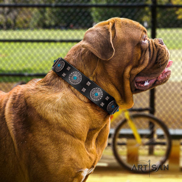 Dogue de Bordeaux embellished full grain natural leather dog collar for your impressive doggie