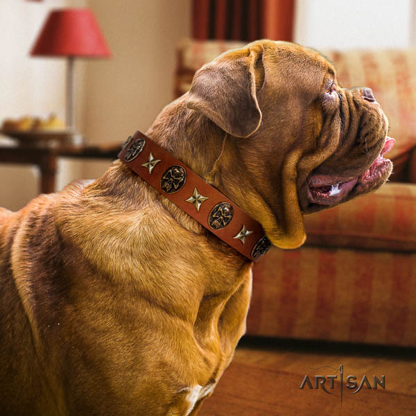 Dogue de Bordeaux adorned full grain genuine leather dog collar for your beautiful four-legged friend