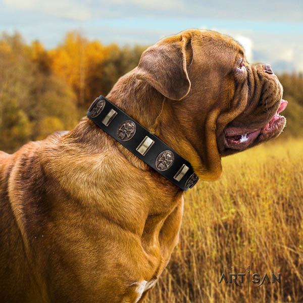 Dogue de Bordeaux decorated full grain leather dog collar for your handsome canine