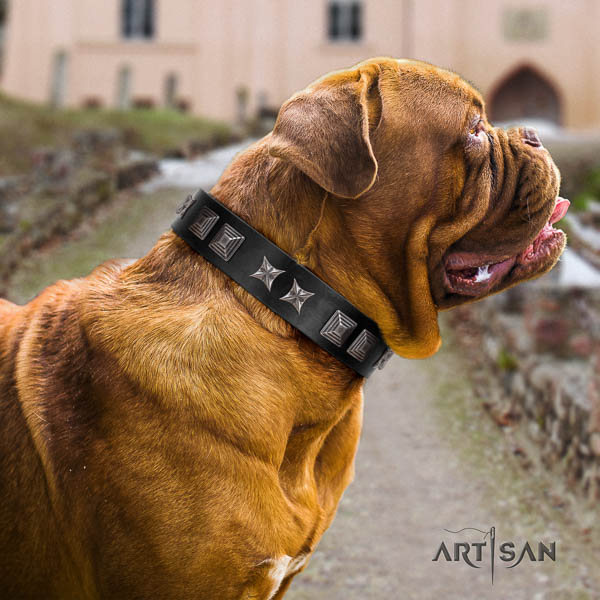 Dogue de Bordeaux embellished full grain leather dog collar for your impressive dog