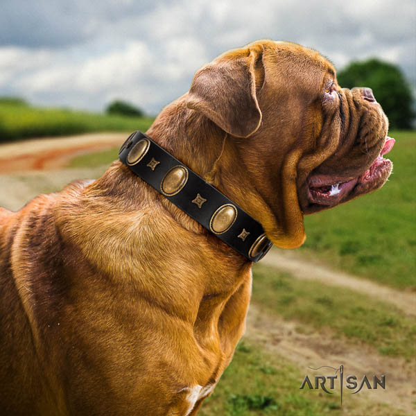 Dogue de Bordeaux embellished leather dog collar for your impressive canine