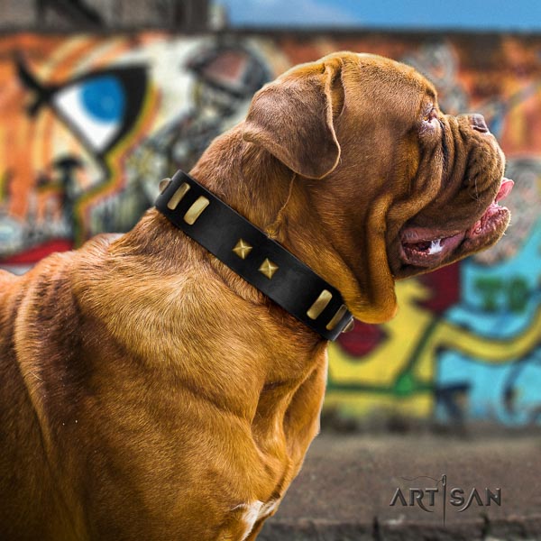 Dogue de Bordeaux embellished full grain genuine leather dog collar for your handsome canine