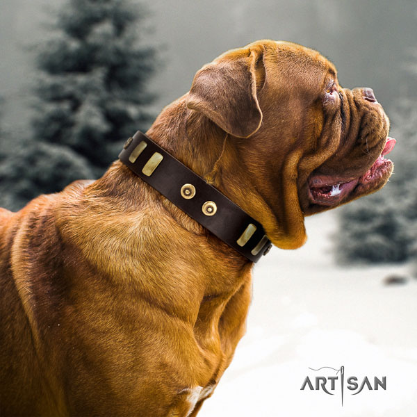 Dogue de Bordeaux studded full grain natural leather dog collar for your attractive dog