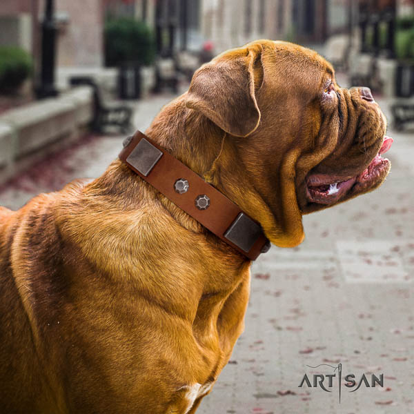 Dogue de Bordeaux studded genuine leather dog collar for your stylish canine