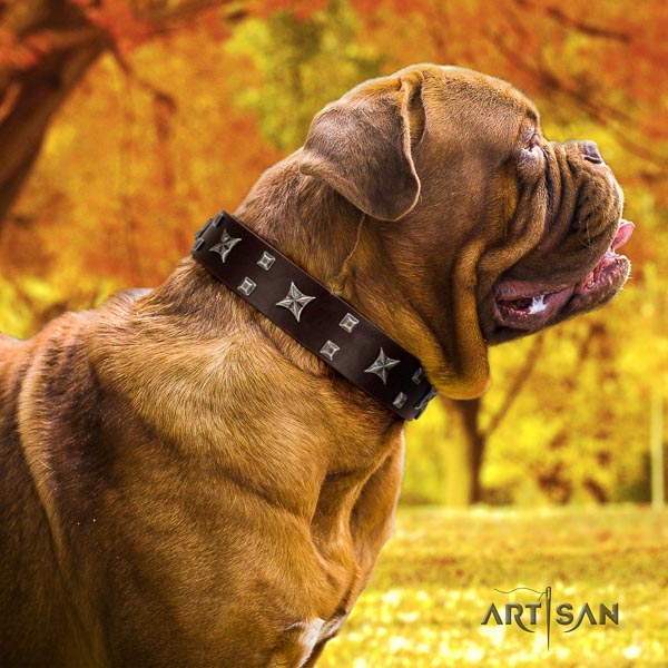 Dogue de Bordeaux studded natural genuine leather dog collar for your impressive doggie