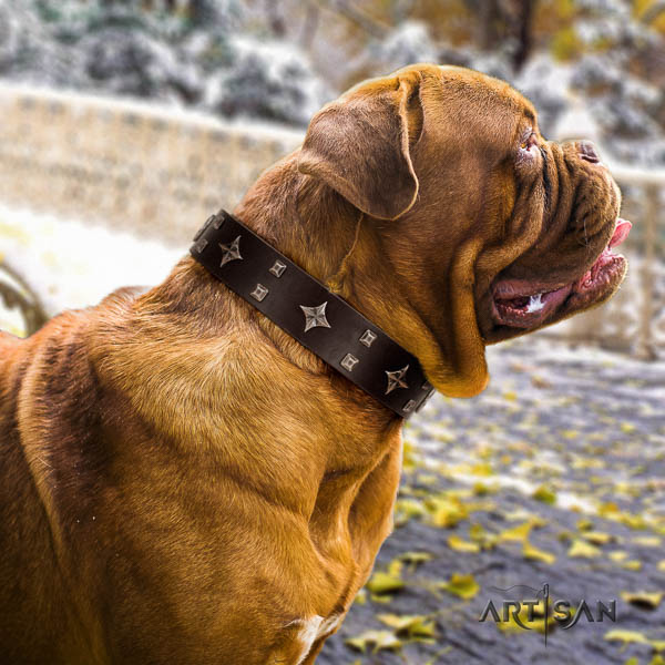 Dogue de Bordeaux adorned full grain leather dog collar for your stylish canine