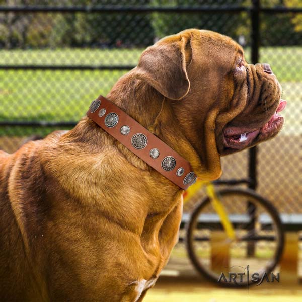 Dogue de Bordeaux stylish design full grain leather collar for easy wearing