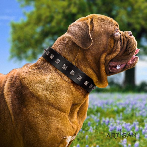 Dogue de Bordeaux decorated full grain natural leather dog collar for your attractive pet