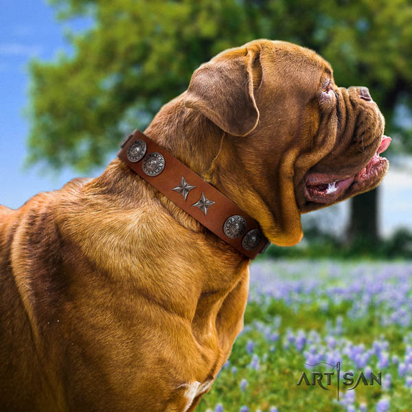 Dogue de Bordeaux adorned leather dog collar for your handsome canine