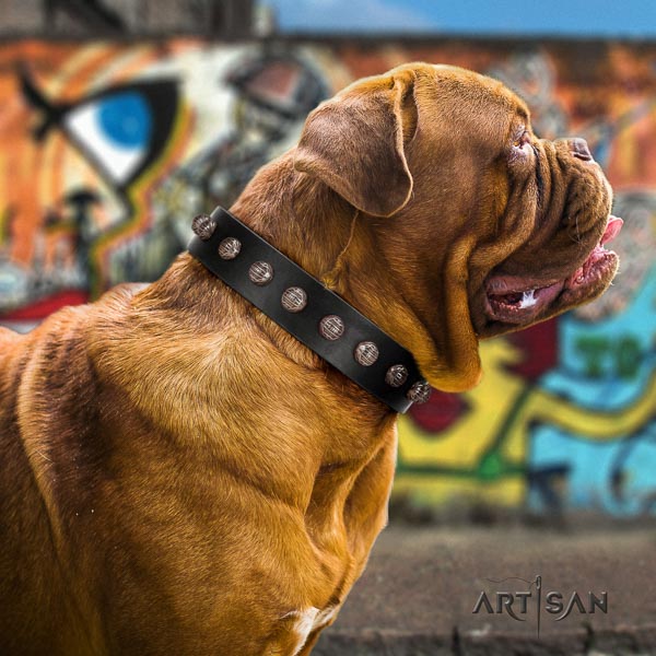 Dogue de Bordeaux decorated full grain natural leather dog collar for your impressive canine