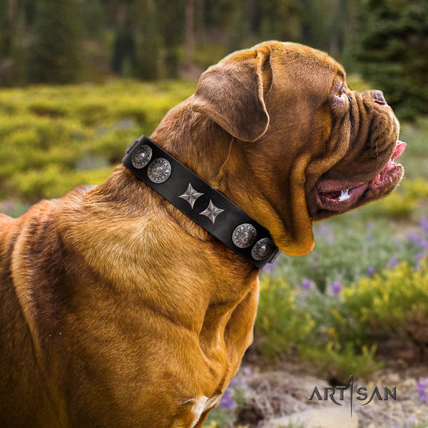 Dogue de Bordeaux adorned leather dog collar for your handsome pet