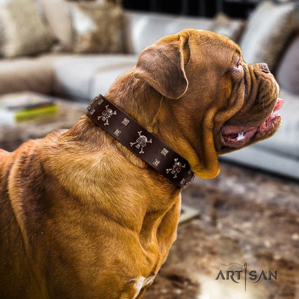 Dogue de Bordeaux embellished full grain leather dog collar for your beautiful dog